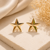 Star Design Tops Earrings – Shine Bright with Everyday Elegance