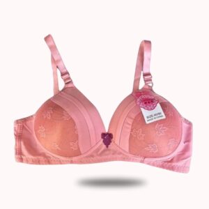 Lacra Lace Net Padded Bra: The Perfect Blend of Comfort