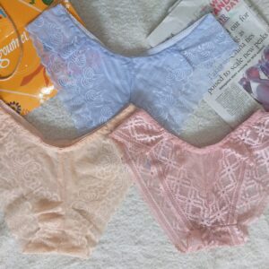 Net Fabric Beautiful Design Underwear – Sheer Elegance