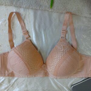 Net Lace Padded Bra: Elegant Comfort and Support