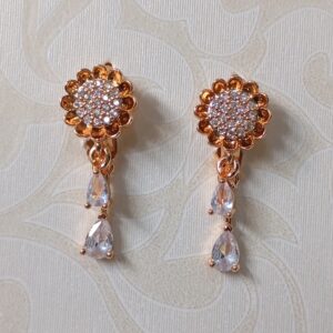 Double Drop design Earring