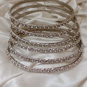 Praxis Bangle Set of 6 Size 2.10